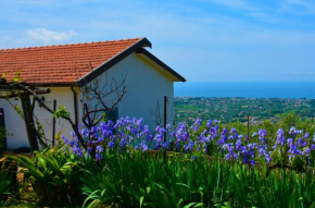Casa a Castellabate